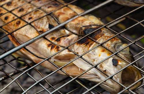 Branzino alla griglia 500x329