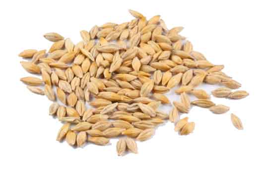 avena