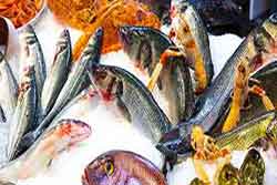 mercato_del_pesce